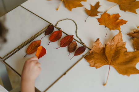 The boy makes a composition with leaves in a glass frame while sitting at home in the kitchen.の写真素材