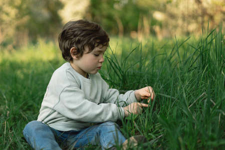 Cheerful happy child is playing on the green meadow.の写真素材