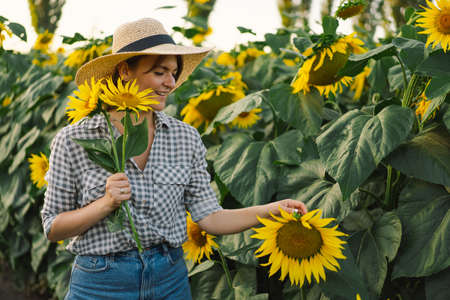 Beautiful young woman with sunflowers enjoying nature and laughing on summer sunflower field.