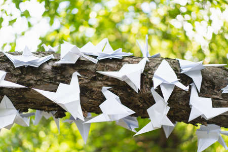 Many decorative paper birds on a tree.の写真素材