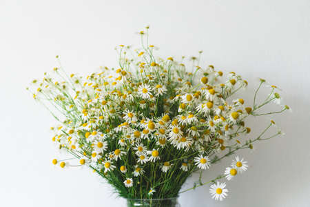 a bouquet of daisies in a white glass vase on a white tableの写真素材