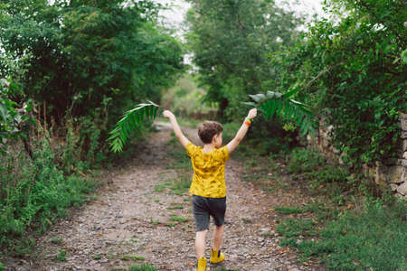 A six-year-old boy runs with green leaves in his hands in the countryside. Back viewの写真素材