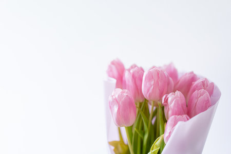 Pink tulips on a white background. Beautiful Card for Mothers Dayの写真素材