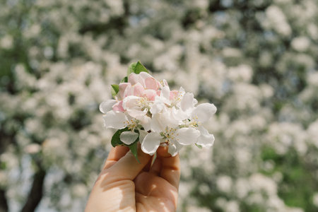 Woman holding spring flowers in her hands. Spring flowers.の写真素材
