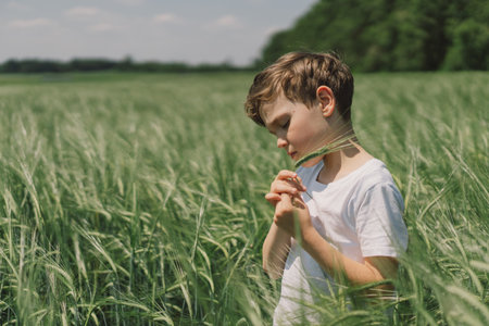 Portrait of a boy in a white T-shirt and playing in a green barley field.の写真素材