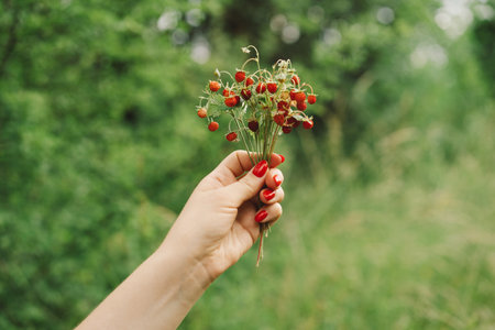 Ripe Red wild strawberries berry in wild meadow