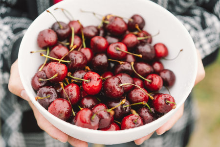 The girl is holding a large plate of ripe cherries.