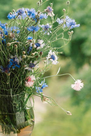 A bouquet of cornflowers and a book on the windowsill in a cozy home.の写真素材