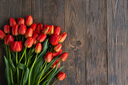 Fresh orange tulips on a wooden background. Springtime.の写真素材