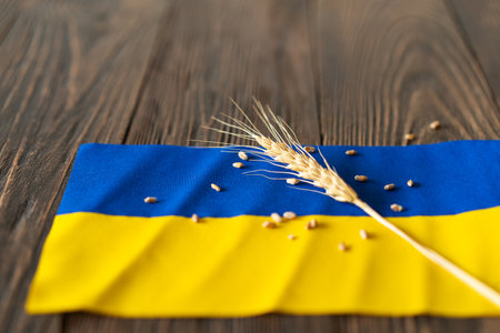 Wheat grains with yellow and blue Ukrainian flag on wooden backgroundの写真素材