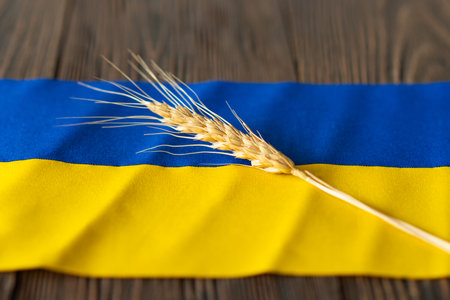 Wheat grains with yellow and blue Ukrainian flag on wooden backgroundの写真素材