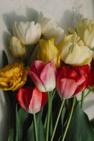 Colorful Assortment of Tulipsの写真素材