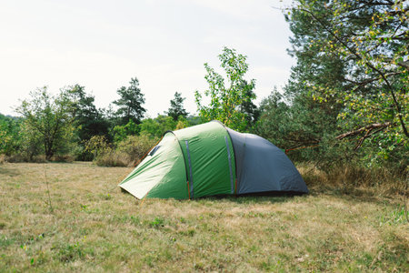 Summer Camping Trip With color Tents Amidst Forest Treesの写真素材
