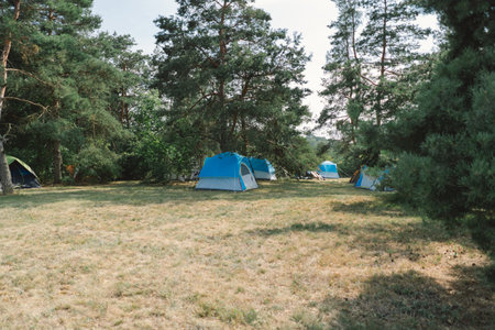 Summer Camping Trip With color Tents Amidst Forest Treesの写真素材