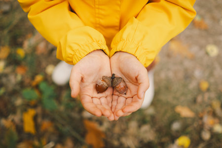 Child in Yellow Raincoat Holding Acorns During Autumn Walk in Parkの写真素材