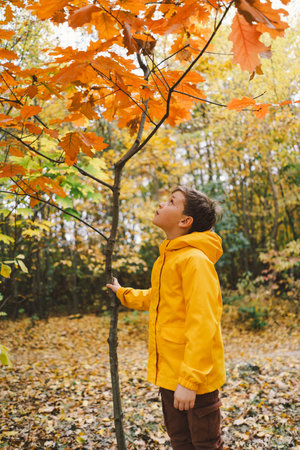 A cheerful child in a yellow raincoat walks through the forestの写真素材