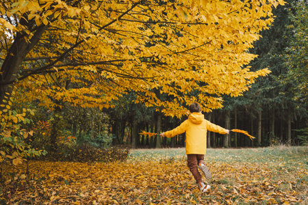 A cheerful child in a yellow raincoat walks through the forestの写真素材