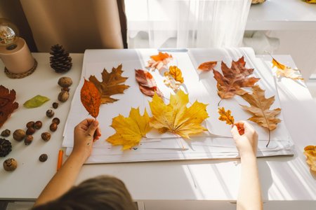 Young Boy Engaged in Creative Leaf Art Activity at Home on a Sunny dayの写真素材