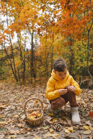 A cheerful child in a yellow raincoat walks through the forestの写真素材