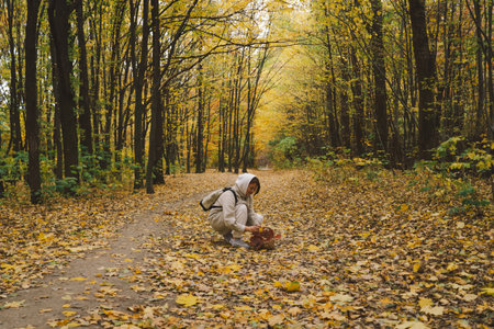 Woman Enjoying Autumn Walk in Forestの写真素材