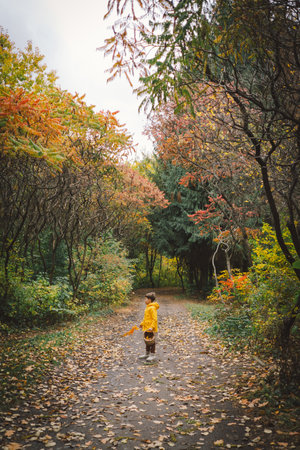 A cheerful child in a yellow raincoat walks through the forestの写真素材