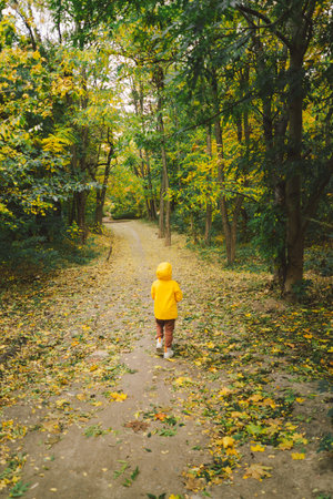 Child in Yellow Raincoat Walking Down Leaf-Covered Path in Autumn Forestの写真素材