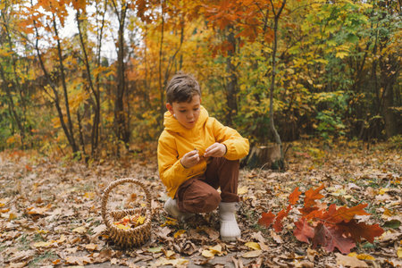 A cheerful child in a yellow raincoat walks through the forestの写真素材