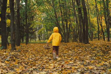 Child in Yellow Raincoat Walking Down Leaf-Covered Path in Autumn Forestの写真素材