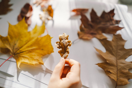 Young Boy Engaged in Creative Leaf Art Activity at Home on a Sunny dayの写真素材