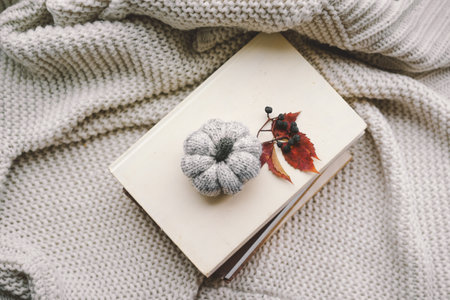 Cozy autumn setting with a knitted pumpkin and leavesの写真素材