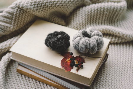 Cozy autumn setting with a knitted pumpkin and leavesの写真素材