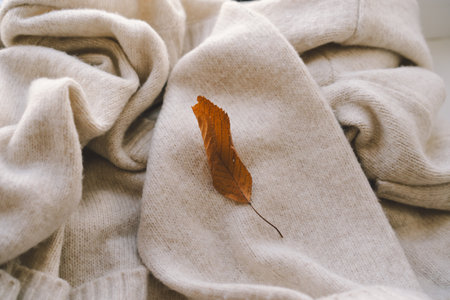 The texture of cozy beige knitwearの写真素材