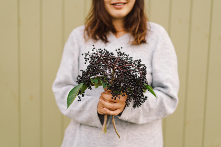 Woman holds in hands clusters fruit black elderberry