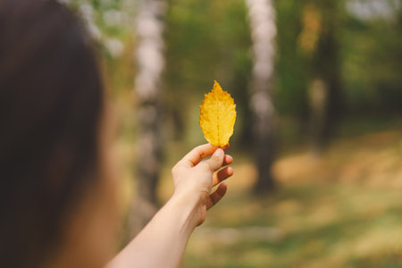 A woman enjoys a autumn day while playfully holding a yellow leafの写真素材