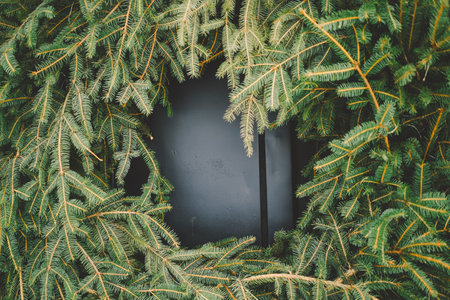 A green holiday wreath made of fresh pine branches decorates a modern wooden cabin