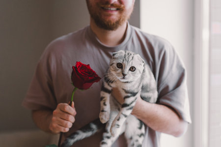 Man holding a gray cat and a red rose in a cozy indoor settingの写真素材