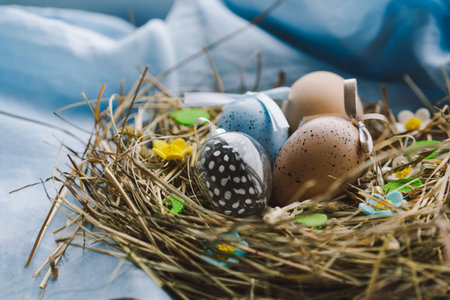 Colorful Easter eggs nestled in a nest surrounded by flowers and straw on a light blue backgroundの写真素材