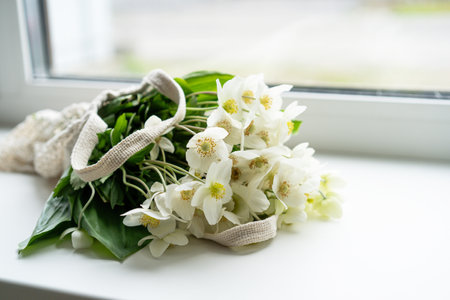 Beautiful white flower Helleborus niger.の写真素材