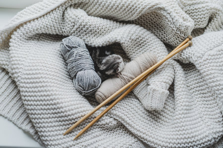 Sleepy kitten curled up in soft yarn surrounded by cozy blankets in a peaceful indoor settingの写真素材