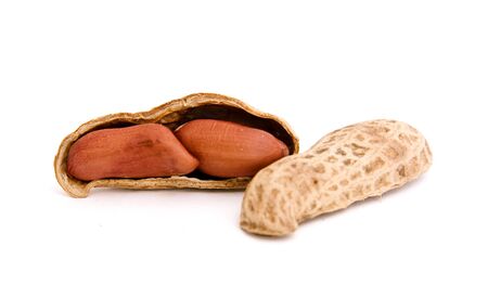 three peanut on isolated backgroundの写真素材