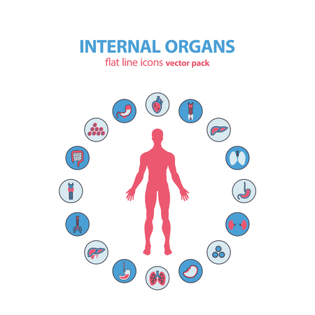 Human anatomy icons. internal organs icon set. Illustration.のイラスト素材