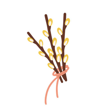 Willow twig isolated on a white background. Easter willow. Vector illustrationのイラスト素材