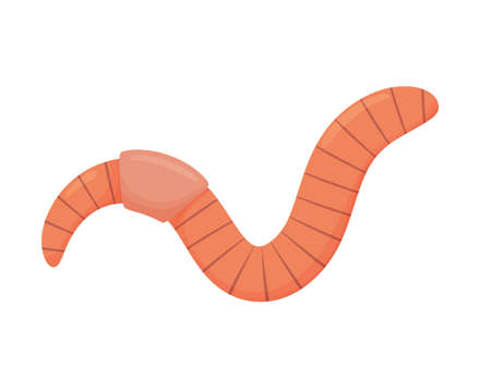 Earthworm in cartoon style. Illustration for animals, nature, fishing. Vector illustrationのイラスト素材