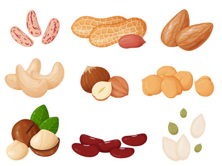 Nuts and seeds set in cartoon style. Cashew, hazelnut, almond, peanut, pistachios, macadamia, pumpkin seeds.のイラスト素材