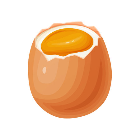 Chicken egg. Baking and cooking Ingredients. Healthy organic food.のイラスト素材