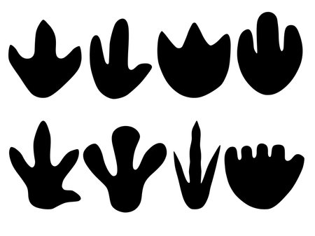 Dinosaur or dragon tracks. Black silhouette.のイラスト素材