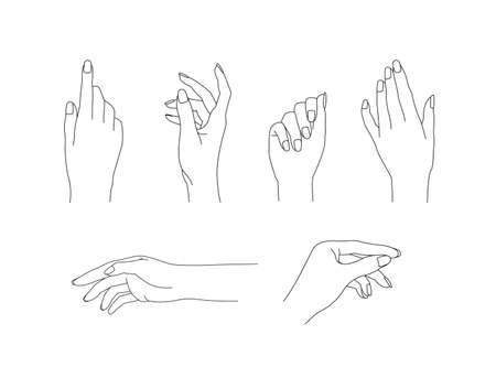 A collection of realistic female hands. Isolated vector gesture icons on white background.のイラスト素材