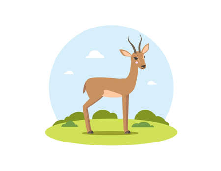 Vector african gazelle in flat cartoon style with landscape. Female gazelle standing in the meadow, side view. Happy wild animal. Cute children's illustration on white background.のイラスト素材