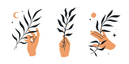 Illustrations of hands with branches and astronomical elements. Hand drawn vector illustrations. Three isolated compositions on a white background.のイラスト素材