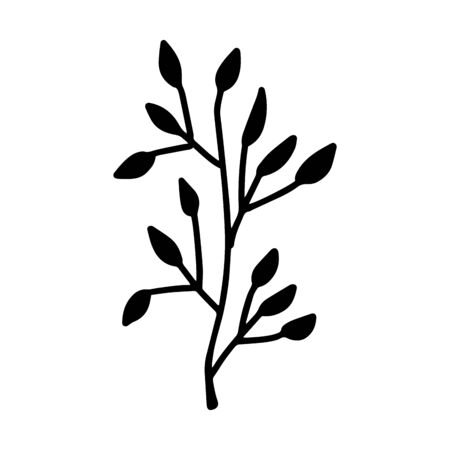 Sign hand drawn herbal Twig leaves. Floral sprig. Spring flower, buttons, blade, bush isolated on white background. Doodle outline vector illustration for wedding designのイラスト素材